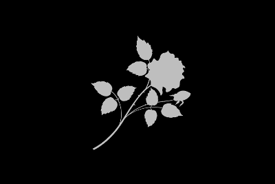 Flower Black Long, par Xavier E. G. Dierick